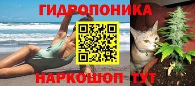 jwh Краснознаменск