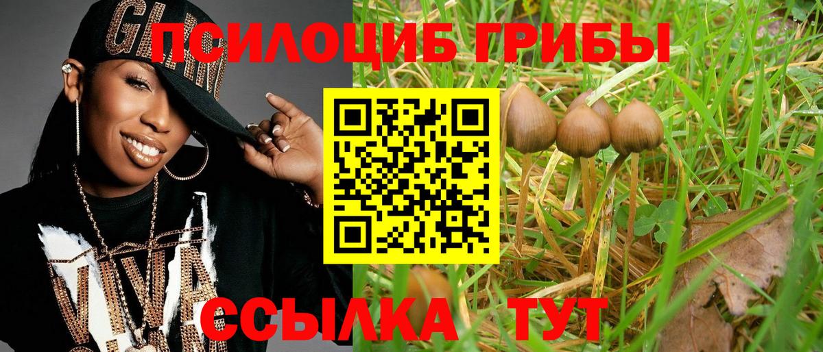 Псилоцибиновые грибы Psilocybine cubensis  Вход с VPN  Йошкар-Ола 